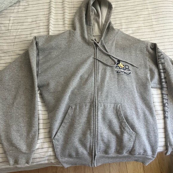 Disneyland hoodie - Picture 3 of 4